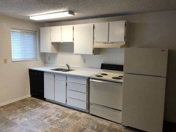 $1,300 / 4br - 1050ft2 - 500 NE Maiden Lane Apt 12: Short term lease available (Pullman)63980821147267123