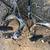 SRAM FORCE LEVERS & derailleurs 2 thumbnail