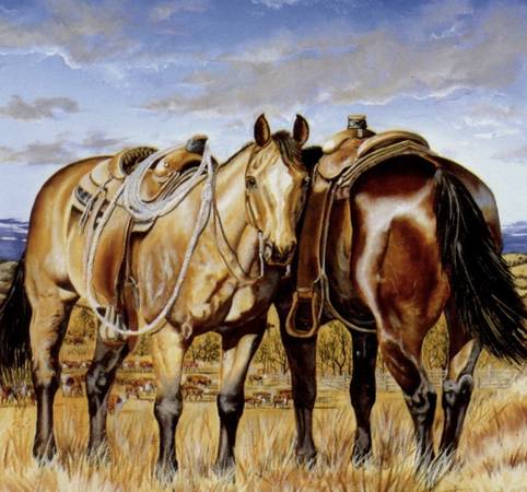 Horse Lease in Boulder 1