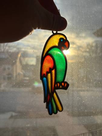 Parrot Suncatcher (6” x 2”) 1