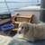 Captains Launch 3 thumbnail