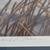 Fruits of Your Labor-Bluebills by David A Maass Ducks Unlimited 4 thumbnail