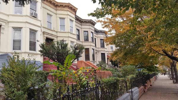 $4,249,000 / 8br - Fully renovated & vacant 4 family Limestone, Brokers R Welcome! (off Bedford Ave)63689917639681123