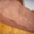 brand new dog steps 2 thumbnail