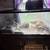 36x18x18 reptile tanks 2 thumbnail