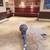 FLOORING, PAINTING, REMODELING, PLASTER/SHEETROCK & DEMOLITION 17 thumbnail