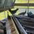 Pullets 1 thumbnail