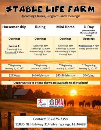 Riding and Horsemanship Lessons (Step Up Provider) 1