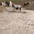 Mini Mare 5 thumbnail