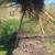 Clearing, mulching,treepulling, dirtwork. 13 thumbnail