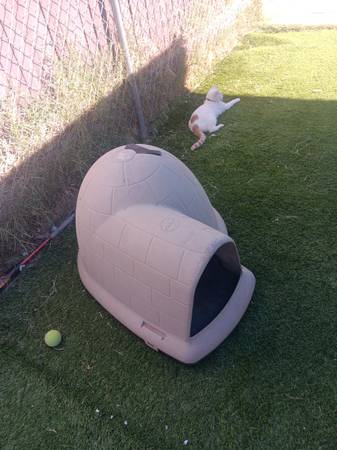 Dog igloo 1