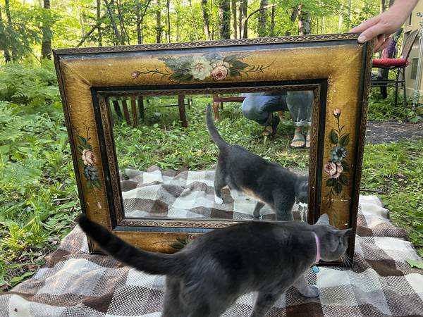 large mirror with handprinted flowers on frame 1