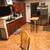 Huge Master-Private Bath $1,800 Santa Cruz Mtns UCSC/SiliconValley 11 thumbnail