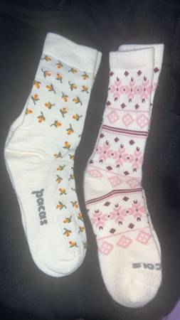 Paca socks 1