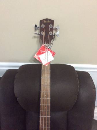 Fender acoustic bass & amp - $325 (Hampton)63436960514307121