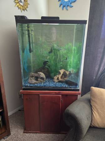 Aquarium's for sale (Boulder City)63860183619073120