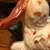 Vintage Kenmar Dog Figurine 4 thumbnail