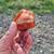 48.41 Acres with 220V power x2 11 thumbnail