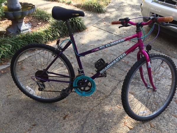 Lady's Mountain Bike 1