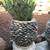 VINTAGE CONCRETE AND RIVER ROCK  CHIMINEA 2 thumbnail