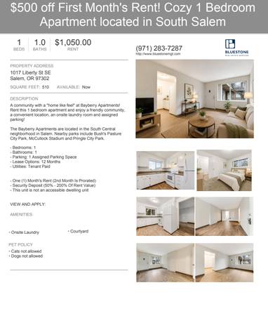 Enjoy a Comfortable, Home-Like Feel at Bayberry Apartments 1