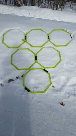 Sparq  Hexagon Agility Trainer 1