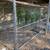 Chain link dog kennel 3 thumbnail