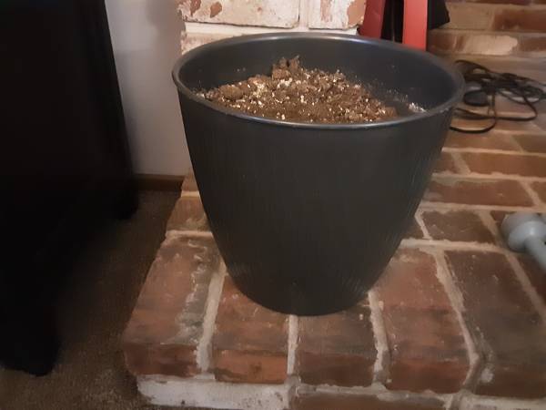 Hard Plastic Planter 1