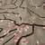 *****7 piece Comforter set Queen size***** 8 thumbnail