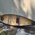 Canoe 3 thumbnail