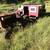 Mobile chicken coop or tiny house free range 7 thumbnail
