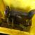 FREE ANTIQUE SEWING MACHINE - NO STAND 1 thumbnail