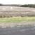 26 Acres of Farmland for Rent - $1950 13 thumbnail