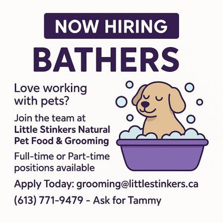 Pet Bather – Join Our Growing Team at Little Stinkers 1