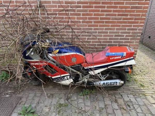 DEAD OR ALIVE MOTORCYLES 1