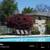 Pet Play Area, Playground, Newly Remodeled Homes Available 4 thumbnail