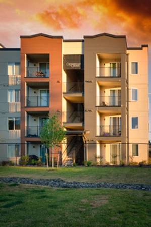 $1,725 / 1br - 642ft2 - Enough living space for all your needs. 1 bed, 1 bath. Check us out! (Tumwater)63944962561539120