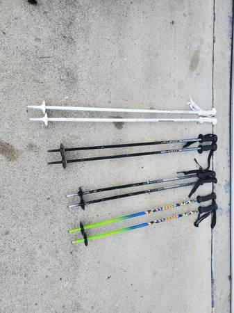 Ski Poles 1