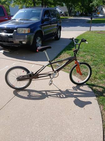 Mongoose knockout 1