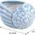 FIRM PRICE! NEW 4-Pack Ceramic Succulent Pots (PLANTS NOT INCLUDED) 5 thumbnail