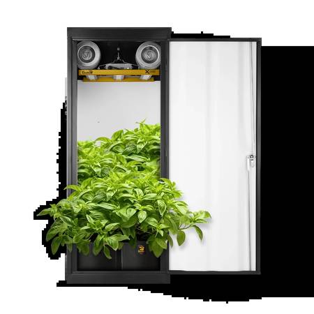 SuperStar Soil Grow Box 24”x 24” x 60” 1
