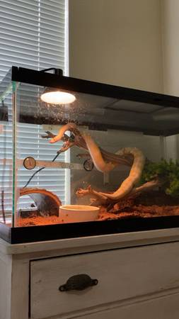 Terrariums for Sale $250 for both (napa county)63874129938947121
