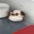 Ball Python 2 thumbnail