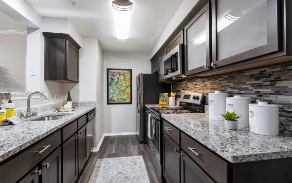 $1,359 / 1br - Get 6 Weeks FREE | Near Domain (North)63979118726531122