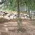 Bobcat Services ~ Drainage, Grading, Demo, Clearing & Boulder Walls 6 thumbnail