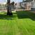 RAYOS LANDSCAPE&GARDENING SERVICE 11 thumbnail