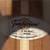 Harp Guitar - Timberline T-20-HGC acoustic w/case 5 thumbnail