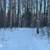 Private 1.34 Acre Lot w/ Kashwitna River Frontage in Gated Community! 6 thumbnail