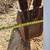 Bobcat 909 backhoe attachment for Skid Steer 4 thumbnail