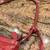 Brighton collectibles pink leather embroidered purse 3 thumbnail